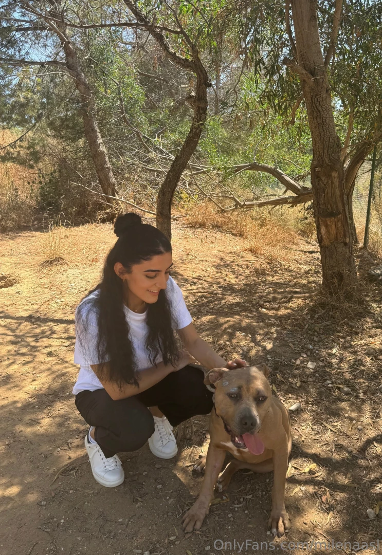 Usually i never liked the idea of having a dog especially a big one part 1 