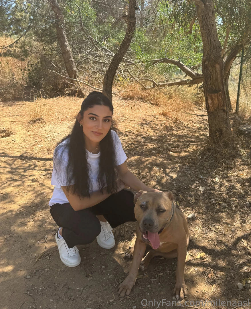 Usually i never liked the idea of having a dog especially a big one part 2 