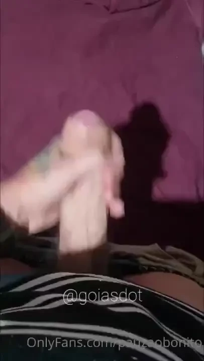 E mais uma leitada exclusiva pra vcs antes de dormir de lei 