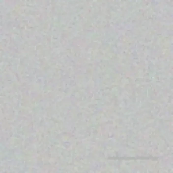 Morning our trio livestream is today today is your last chance to get 