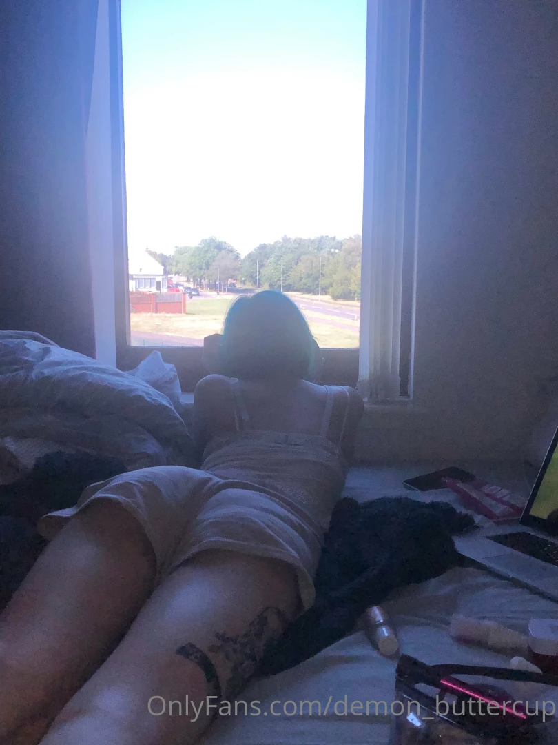 New photo every day 