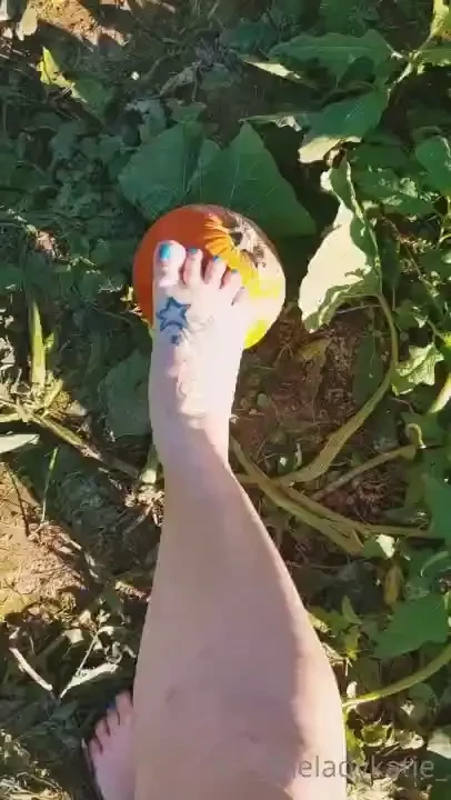 Happy fall y all follow us as we get dirty and pick a pumpkin 
