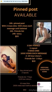 Pinned post available