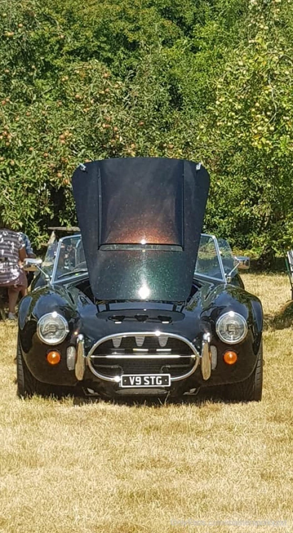 Sunny car shows showing off the sparkles cobra car lifestyle findom 