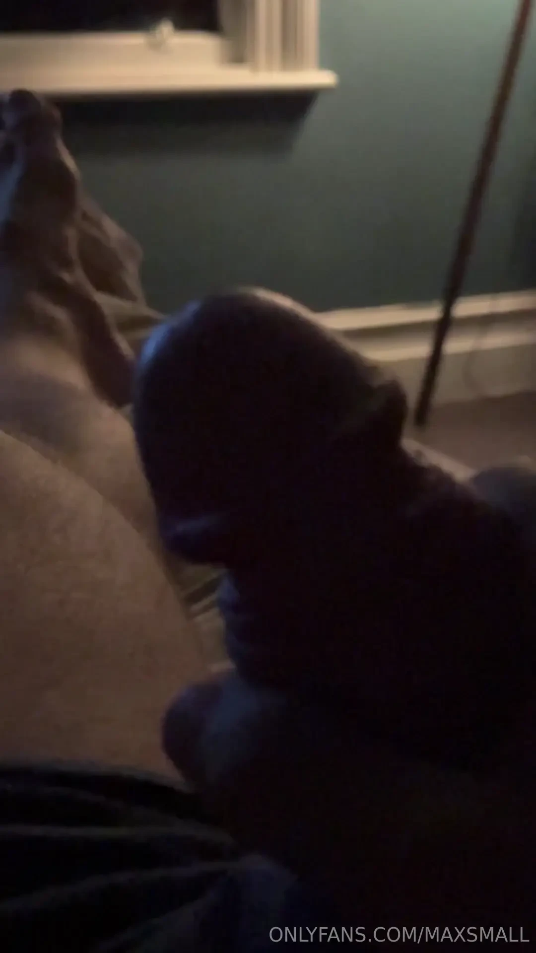 Cocks been throbbing the past 3 hours fuckkkkk 