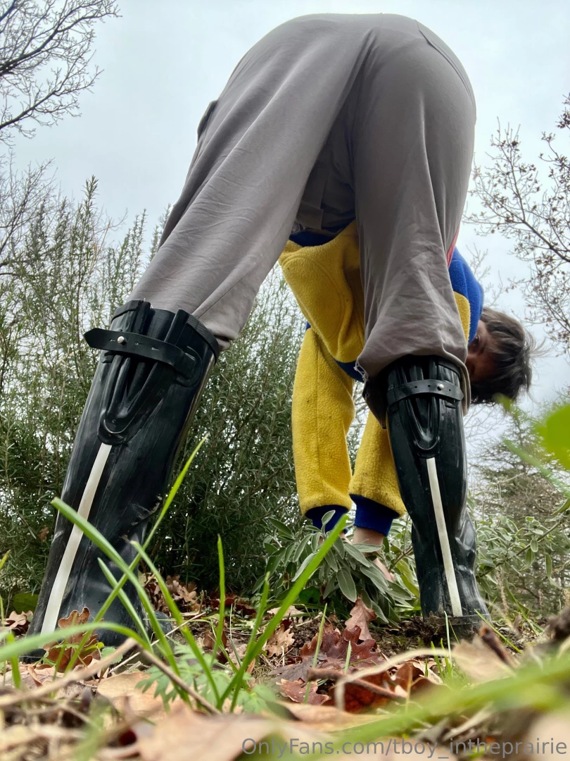 Last night i had a dream that someone bought me a realistic dildo and part 3 