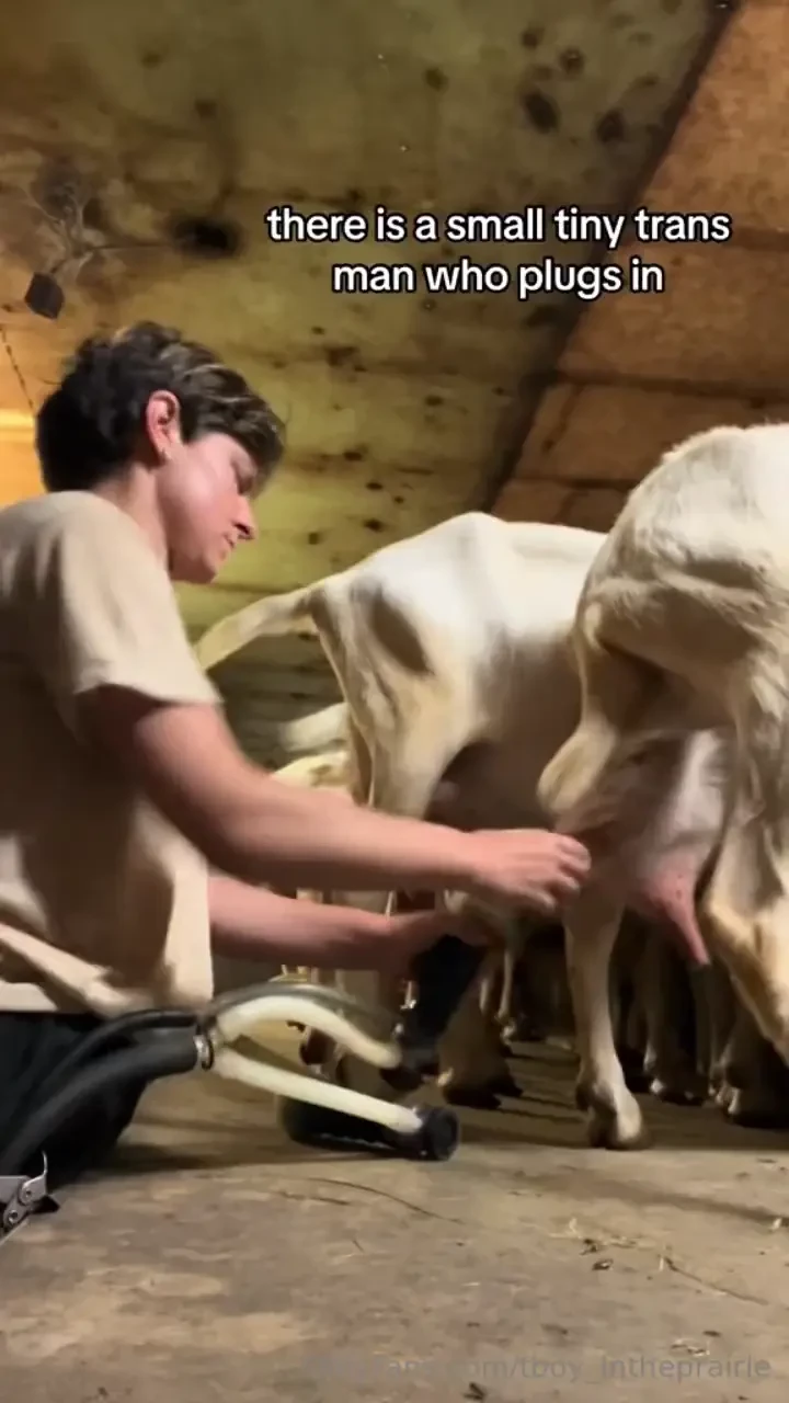 What can i offer you from my sickbed sfw tiktoks so you can get to part 2 