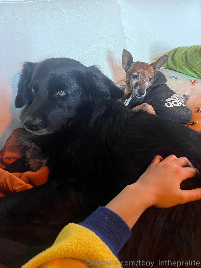 Sfw sfw sfw sfw part 5 