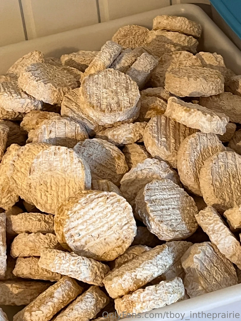 Sfw sfw sfw sfw part 2 