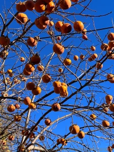 Sfw sfw sfw sfw part 6