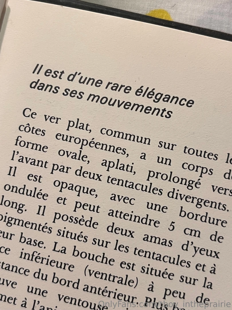 Sfw sfw sfw sfw part 7 