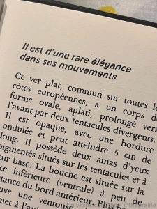 Sfw sfw sfw sfw part 7