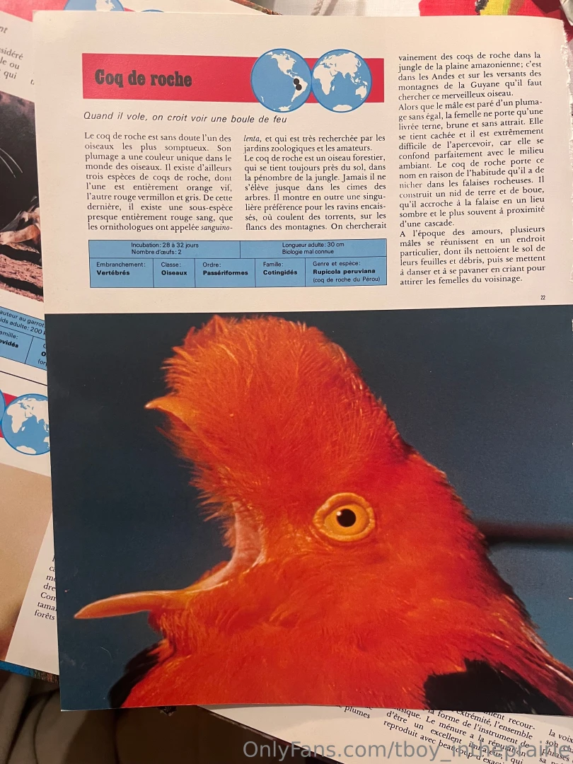 Sfw sfw sfw sfw part 3 