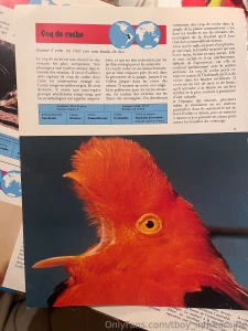 Sfw sfw sfw sfw part 3