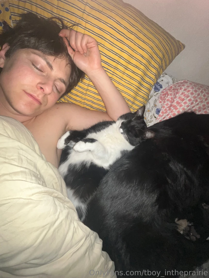 Sfw sfw sfw sfw part 8 