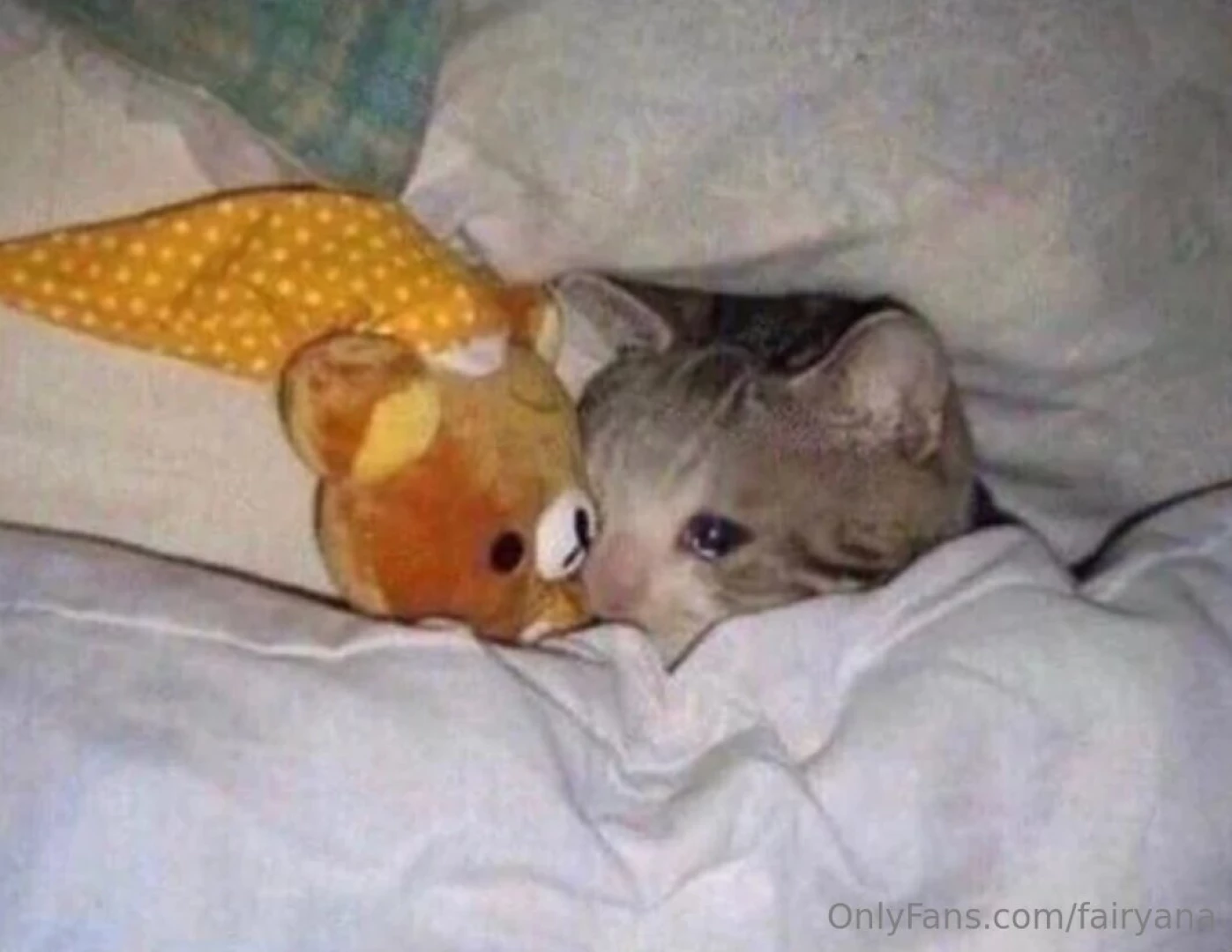 Hey everyone i got super super sick and literally been bed ridden for 