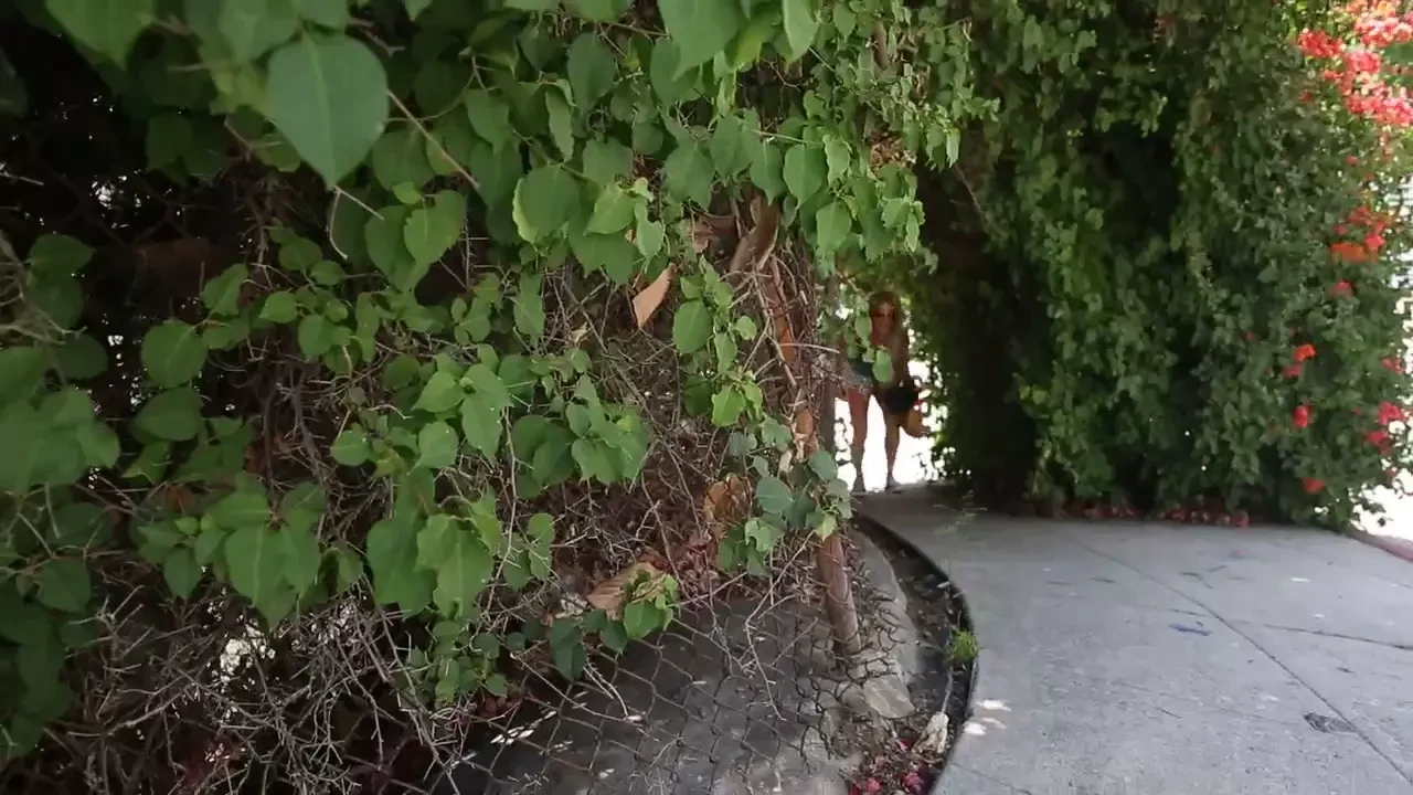 Xxxamara farrahdahl getting lost in the weeds bts from our slutwear 