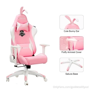 Did i just buy this chair yes am i going to film myself masturbating