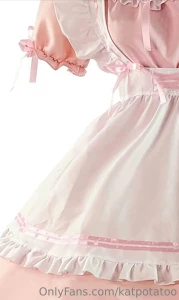 Totally didn t get cute maid outfits or anything