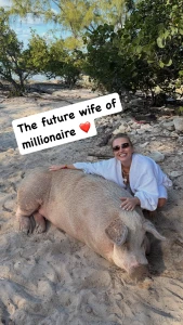 A big pig next to me but you re more interested in looking at me aren