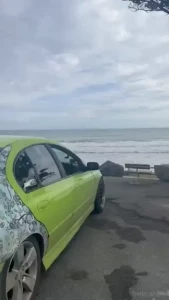 Can t believe i found jennifer rabbit out and about yesterday