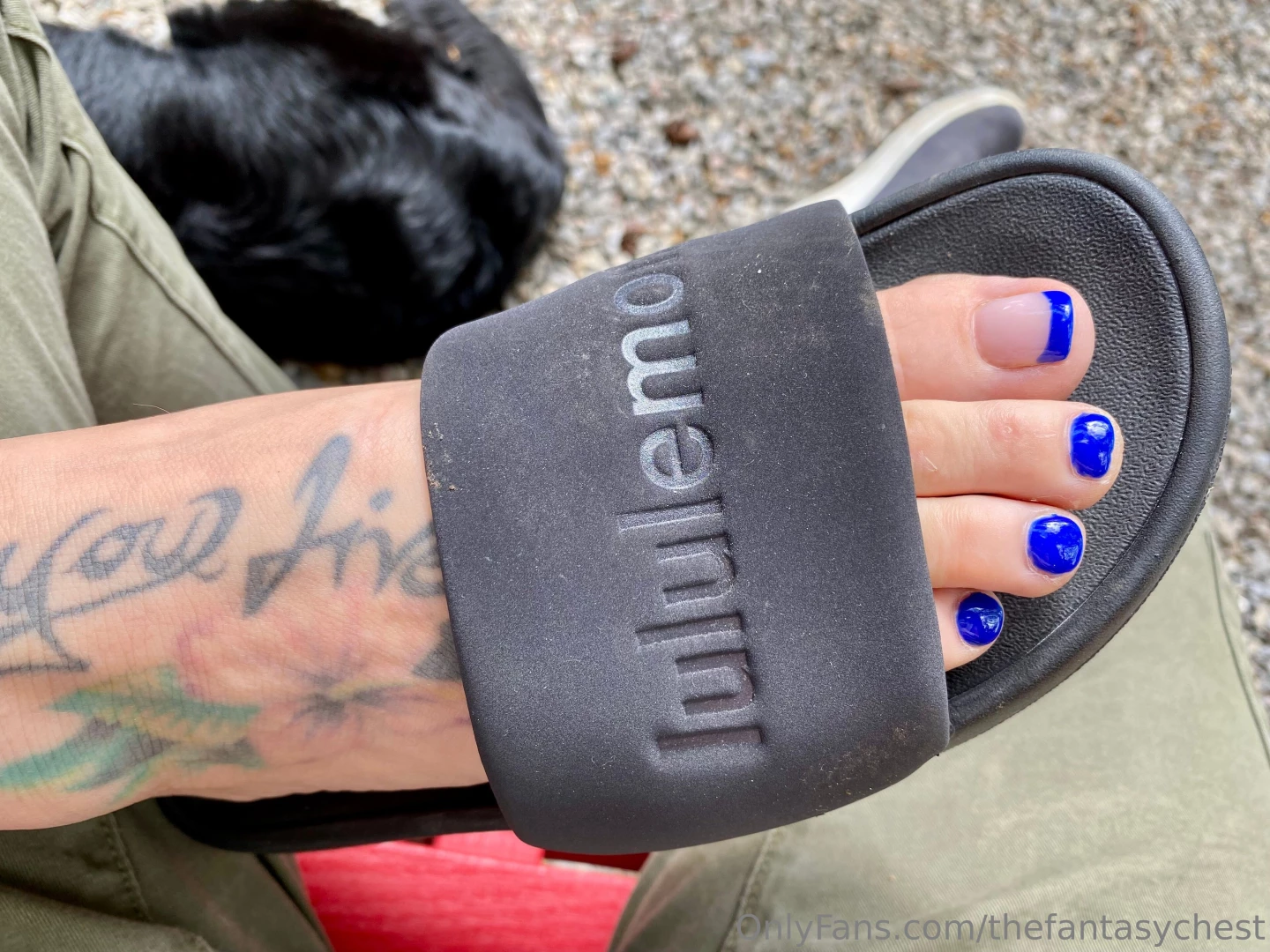 Just one last time i wanted to have my cute slides and even cuter part 3 