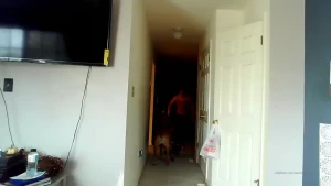 See through yoga pants christmas xoxo merry christmas everyone