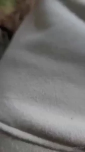 Looks like i found something on the woods