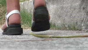 Sticky grass plants smashed with sandals