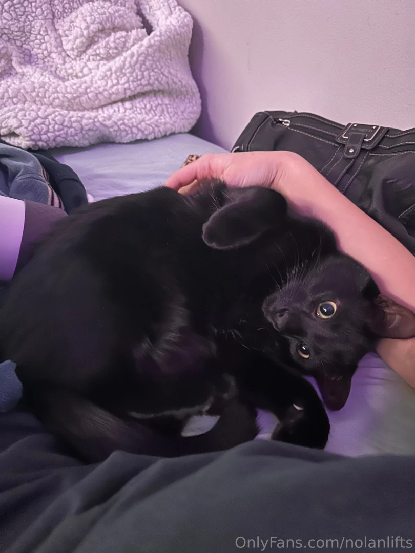 Hey guys my best friend passed last night he was only 1 5 years old part 1 