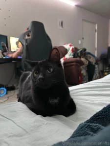 Hey guys my best friend passed last night he was only 1 5 years old part 3