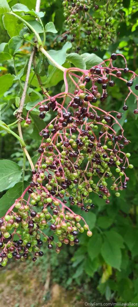 I m so excited to show you the shooting i did today i found this part 1 