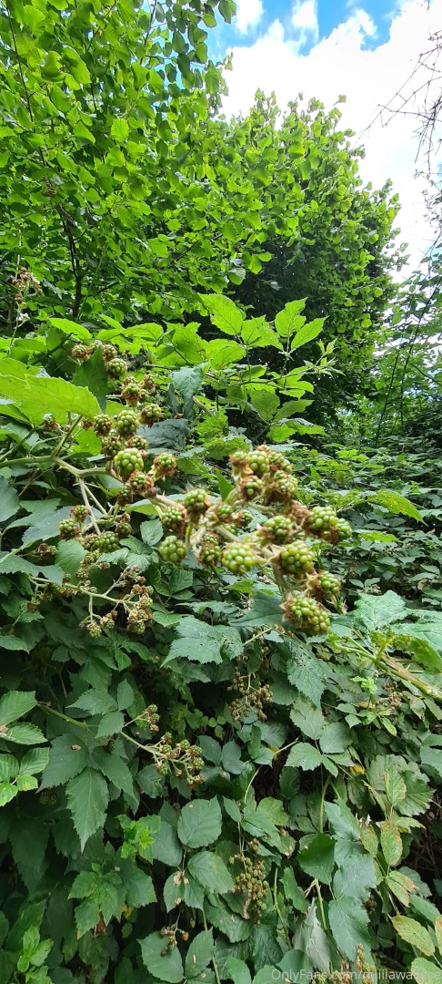 I m so excited to show you the shooting i did today i found this part 3 