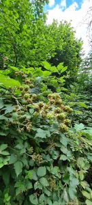 I m so excited to show you the shooting i did today i found this part 3