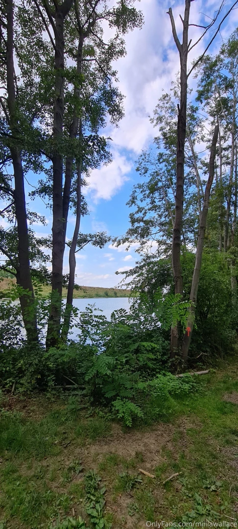 I m so excited to show you the shooting i did today i found this 