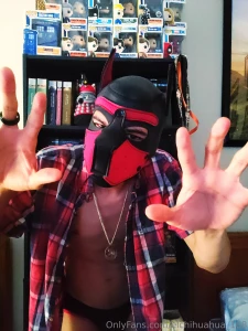 Elchihuahua-108 part 38