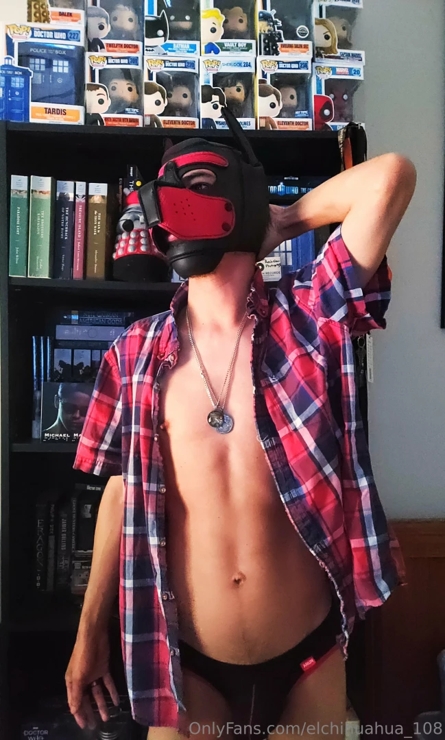 Elchihuahua-108 part 49 