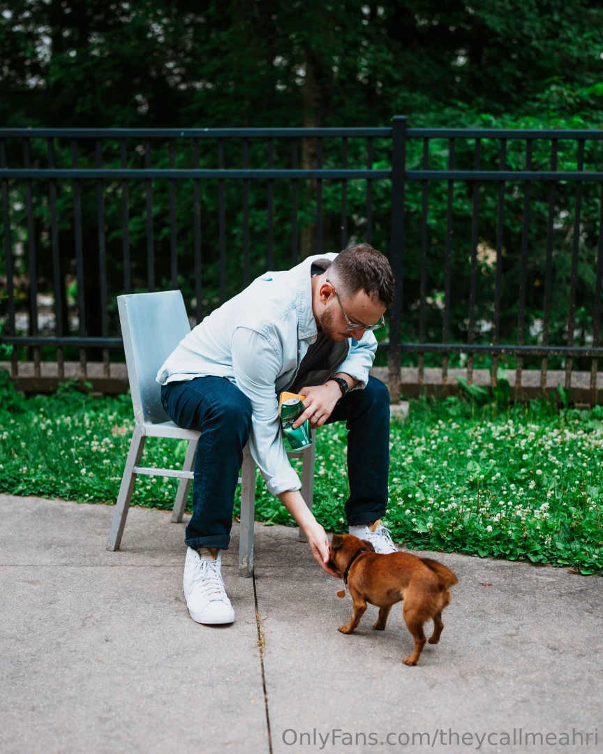 This could be us but you arent an animal 