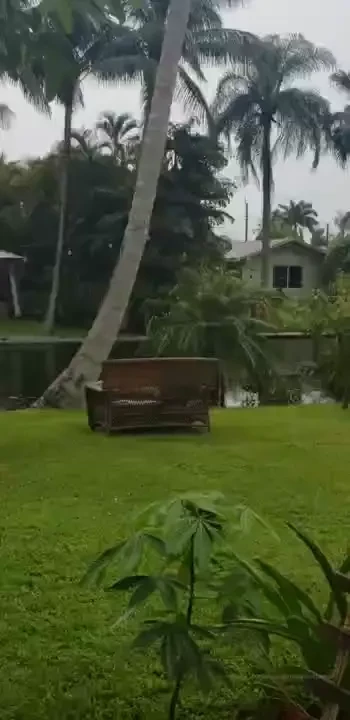 Rain rain rain all day and my canal is getting so high keep me company 