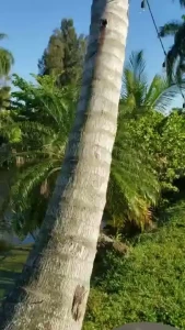 I slacked off a little today part 1