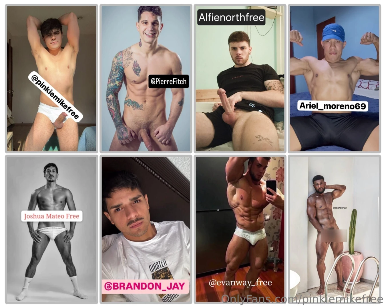 1 pinkiemikefree 2 pierrefitch 3 alfienorthfree 4 ariel_moreno69 5 part 1 