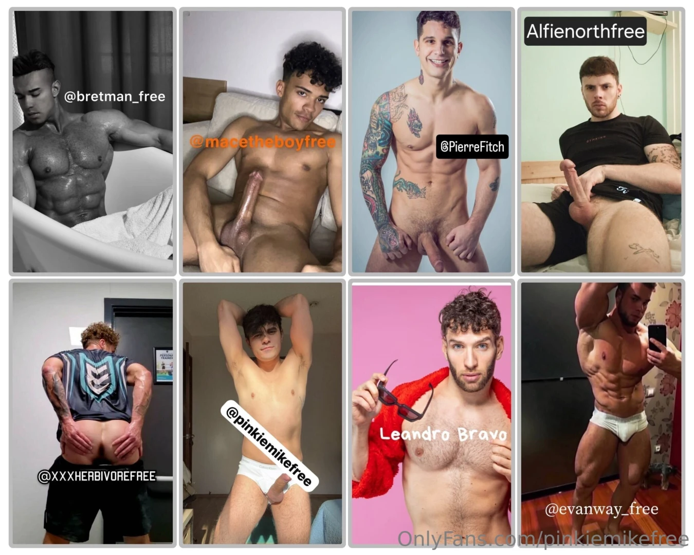 1 bretman_free 2 macetheboyfree 3 pierrefitch 4 alfienorthfree 5 