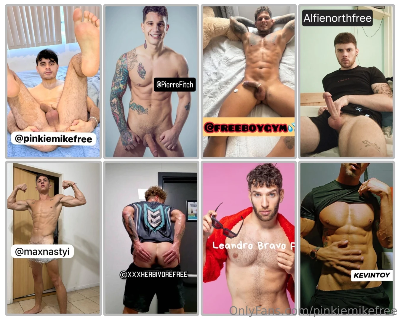 1 pinkiemikefree 2 pierrefitch 3 freeboygym 4 alfienorthfree 5 