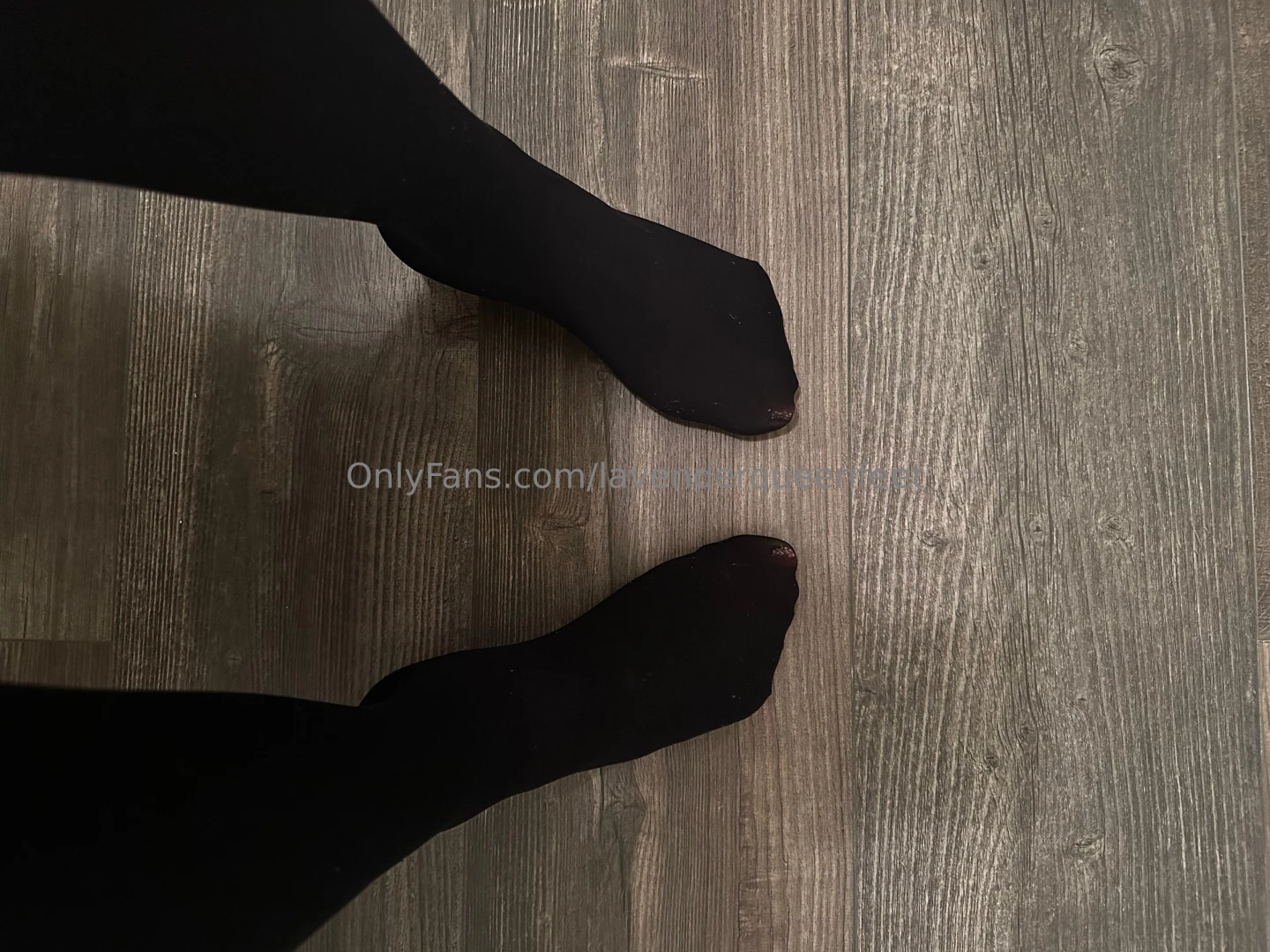 It s been awhile since we ve talked let s talk tribute your queen and 