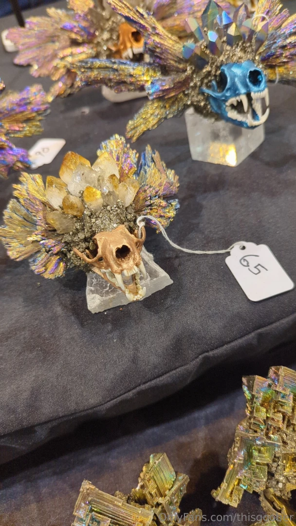 I went to an oddities and curiosities expo and i dressed like an part 1 