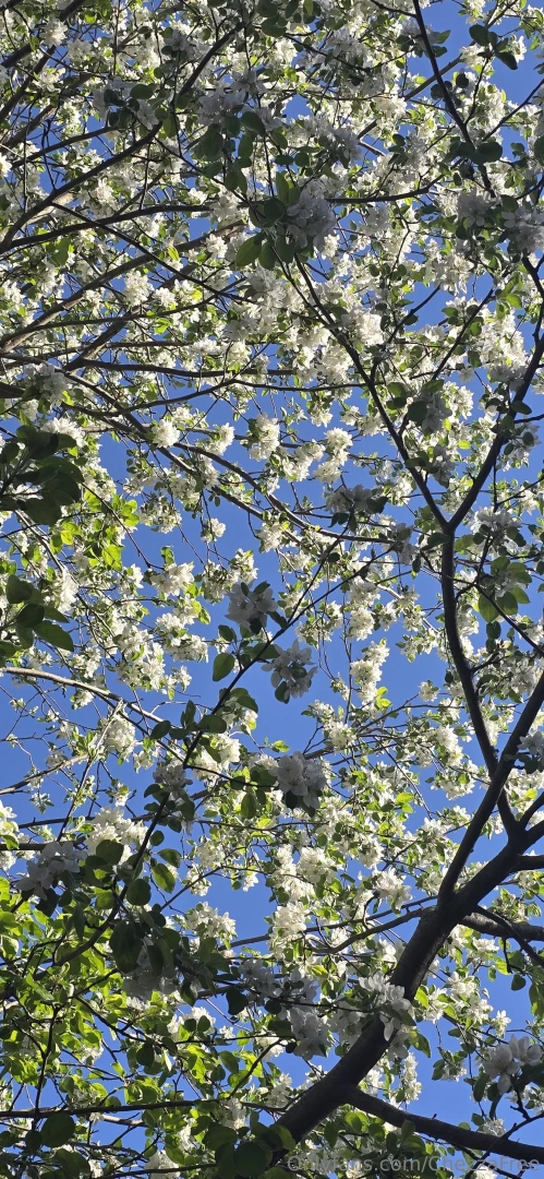 Such a nice time of year 