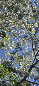 Such a nice time of year