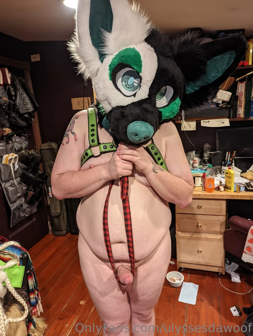 Someone want to take this pup for walkies p-please part 1 