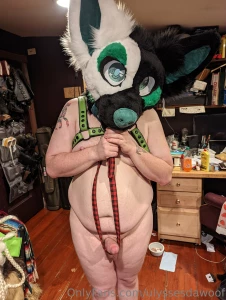 Someone want to take this pup for walkies p-please part 1