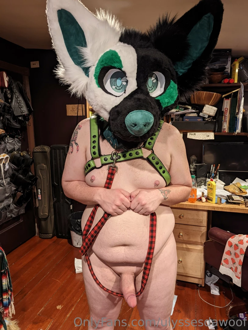 Someone want to take this pup for walkies p-please 